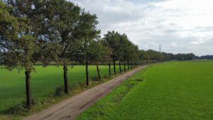 Goyaarsdijk
